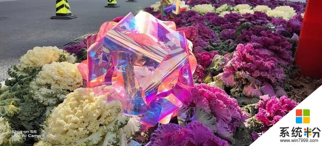 vivoS5上手評測:為美而生,與美同在(15)