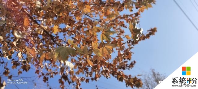 vivoS5上手評測:為美而生,與美同在(23)