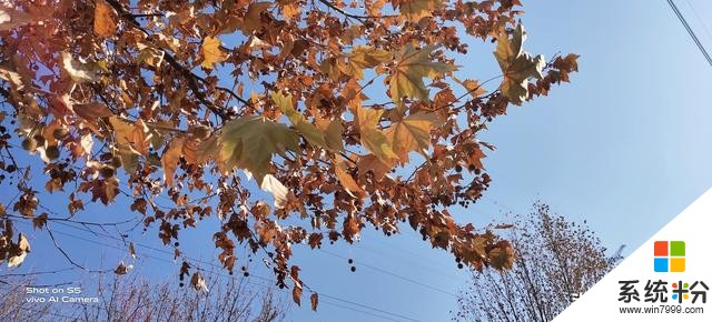 vivoS5上手評測:為美而生,與美同在(24)