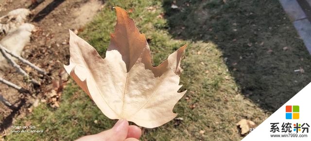 vivoS5上手評測:為美而生,與美同在(25)