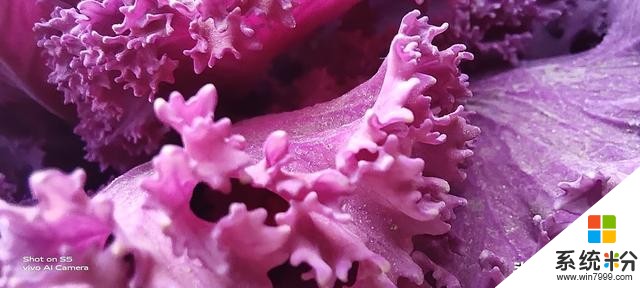 vivoS5上手評測:為美而生,與美同在(28)