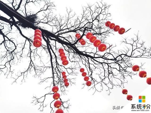 別再說春節的年味淡了,這些照片幫你找回年味(7)