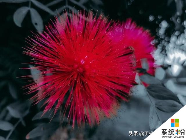 這種進步神速的拍照方式,了解一下?(6)