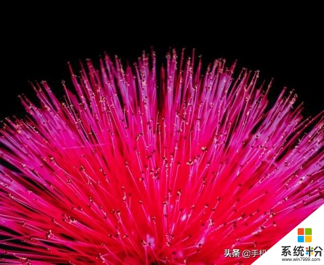 這種進步神速的拍照方式,了解一下?(7)