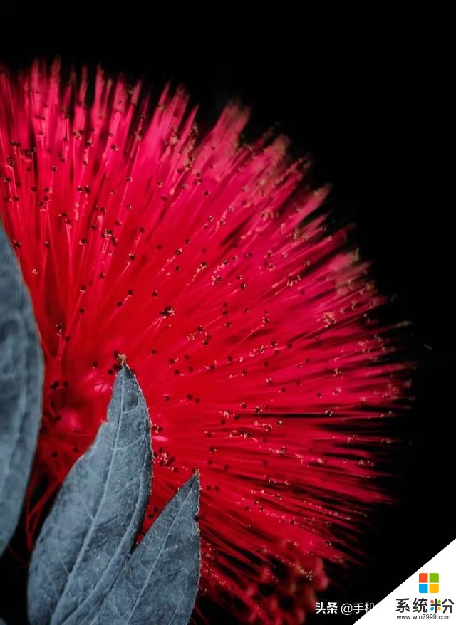 這種進步神速的拍照方式,了解一下?(8)