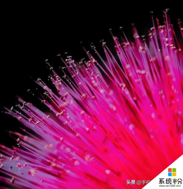 這種進步神速的拍照方式,了解一下?(9)