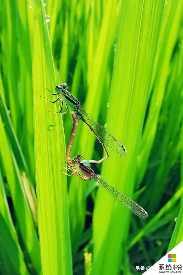 豪橫!華為P40除了10倍變焦,還有你從未見過的設計...(16)