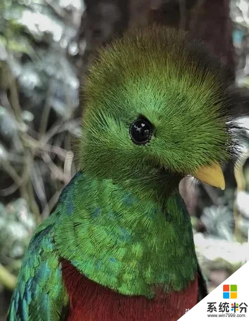 豪橫!華為P40除了10倍變焦,還有你從未見過的設計...(24)