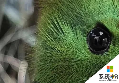 豪橫!華為P40除了10倍變焦,還有你從未見過的設計...(25)