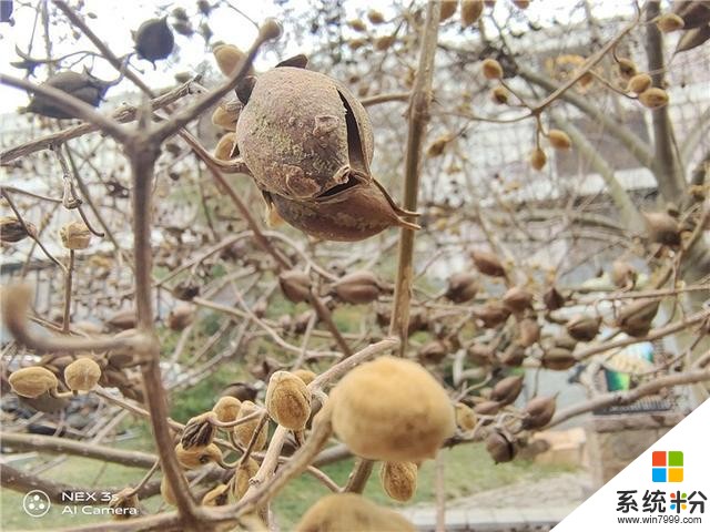 「IT之家評測室」vivoNEX3S評測:5G旗艦,有舍,也有得(40)