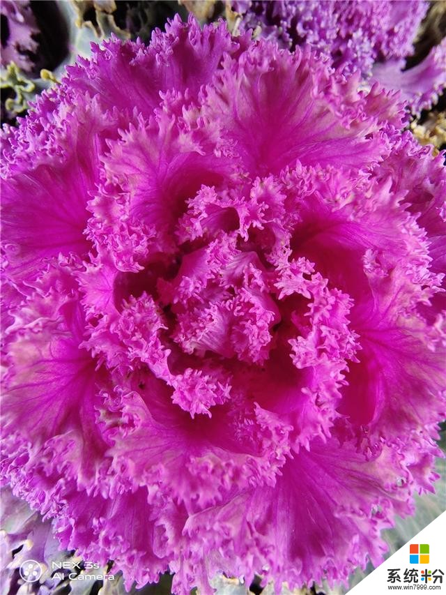 「IT之家評測室」vivoNEX3S評測:5G旗艦,有舍,也有得(41)