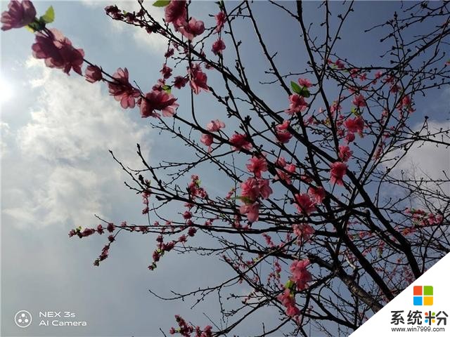 「IT之家評測室」vivoNEX3S評測:5G旗艦,有舍,也有得(44)