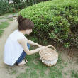 尛liunan