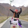 秦子噶