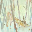 芒果cc布丁
