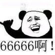 衛莊history