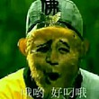 七月花音丶