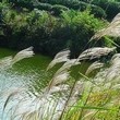 少年夢沒了