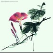 冰藍玉緣