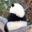 丨優雅自在丨
