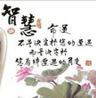 樓豬的菊花我要