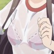 張bulou