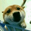 歐陽司直_