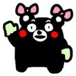 永不凋零的花6