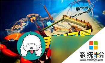 明日方舟WD-2關卡攻略