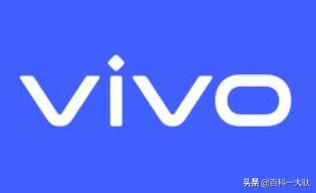 vivo公司介紹(1)