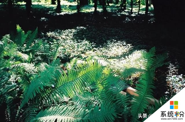 拍人像，不按常理出牌，照片卻如此奇幻(21)