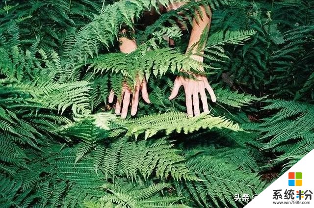 拍人像，不按常理出牌，照片卻如此奇幻(23)